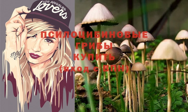 соль курить ск Каменногорск