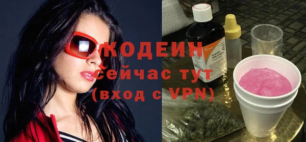 ГАЛЛЮЦИНОГЕННЫЕ ГРИБЫ Каменка