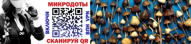 Галлюциногенные грибы мухоморы  купить наркоту  Ковдор 